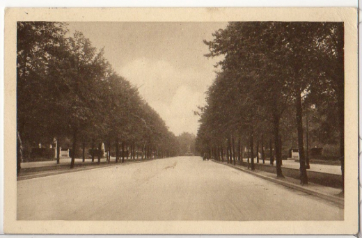 ALTE ANSICHTSKARTE/ POSTKARTE - BERLIN - SIEGESALLEE - BERLIN No. 2