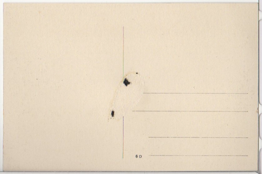 ALTE ANSICHTSKARTE/ POSTKARTE - BERLIN - GRUß AUS MOORLAKE