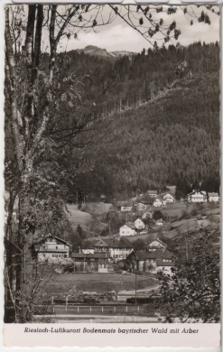 ALTE ANSICHTSKARTE/ POSTKARTE - RIESLOCH LUFTKURORT BODENMAIS - BAYRISCHER WALD MIT ARBER