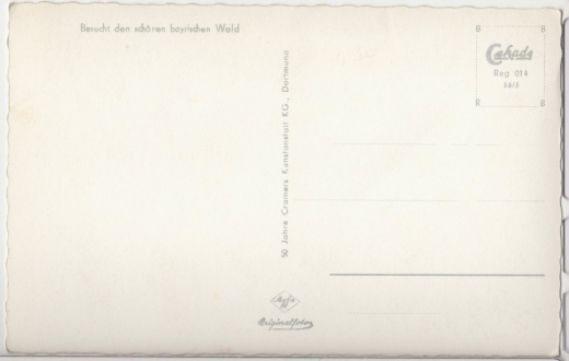 ALTE ANSICHTSKARTE/ POSTKARTE - RIESLOCH LUFTKURORT BODENMAIS - BAYRISCHER WALD MIT ARBER