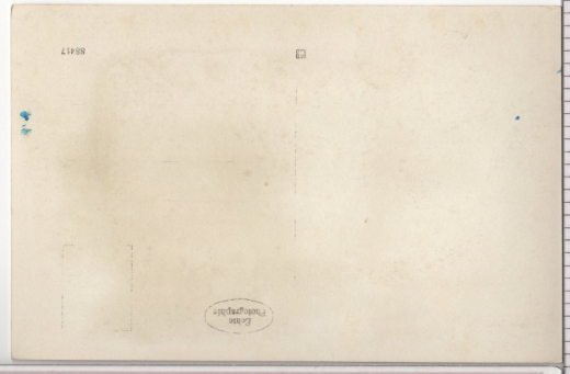 ALTE ANSICHTSKARTE/ POSTKARTE - SCHWANENSTADT OBERDONAU MIT TRAUNSTEIN