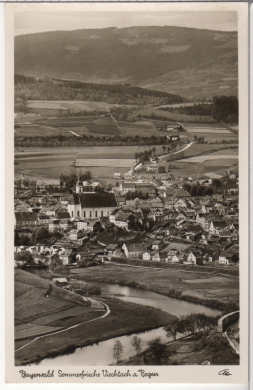 ALTE ANSICHTSKARTE/ POSTKARTE - BAYERWALD SOMMERFRISCHE VIECHTACH a. REGEN