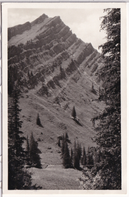 ALTE ANSICHTSKARTE/ POSTKARTE - OBERSTAUFEN - RINDALPHORN