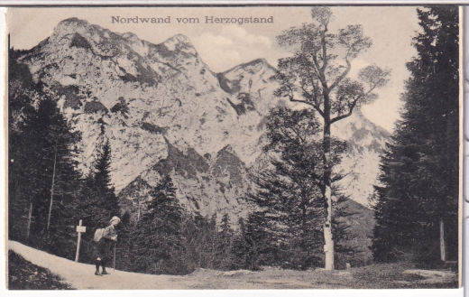 ALTE ANSICHTSKARTE/ POSTKARTE - NORDWAND VOM HERZOGSTAND