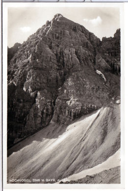 ALTE ANSICHTSKARTE/ POSTKARTE - HOCHVOGEL - BAYR. ALLGÄU