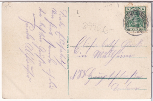 ANSICHTSKARTE/POSTKARTE - MÖWE ÜBER DEN BODENSEE MIT DAMPFSCHIFF