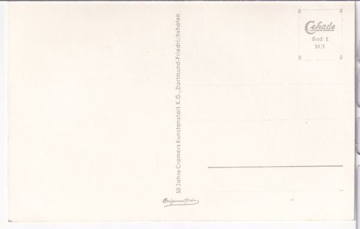 ANSICHTSKARTE/ TOPOGRAPHISCHE KARTE - BODENSEE