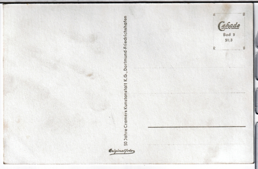 ANSICHTSKARTE/ TOPOGRAPHISCHE KARTE - BODENSEE