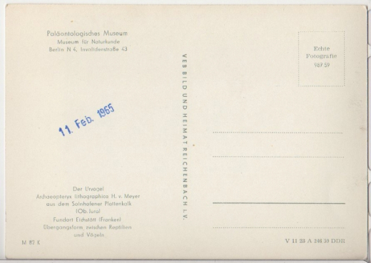 ALTE ANSICHTSKARTE/ POSTKARTE - BERLIN - PALÄONTOLOGISCHES MUSEUM FÜR NATURKUNDE - DER URVOGEL