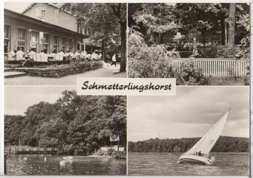 ALTE ANSICHTSKARTE - BERLIN - SCHMETTERLINGSHORST