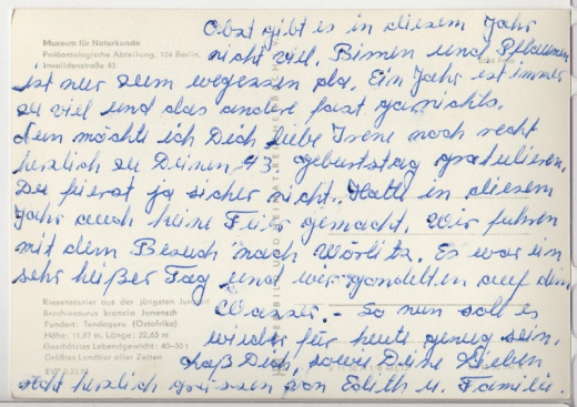 ALTE ANSICHTSKARTE - BERLIN - MUSEUM FÜR NATURKUNDE - RIESENSAURIER