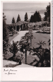 ALTE ANSICHTSKARTE/ POSTKARTE - INSEL MAINAU IM BODENSEE
