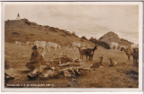 ALTE ANSICHTSKARTE/ POSTKARTE - WEIDVIE AUF DEN GROßEN ARBERGIPFEL