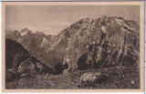 ALTE ANSICHTSKARTE/ POSTKARTE - PRIESBERG-ALM MIT WATZMANN