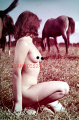 PHOTO - EROTIC - 1/2 - PORTRAIT OF ASIAN NUDE WOMAN WITH HORSES #74