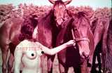 PHOTO - EROTIC - 2/2 - PORTRAIT OF ASIAN NUDE WOMAN WITH HORSES #74