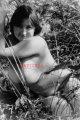 PHOTO - EROTIC - 3/17 - BEAUTIFUL NAKED BBW WOMAN IN NATURE #117