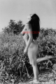 PHOTO - EROTIC - 3/3 - BEAUTIFUL NAKED YOUNG WOMAN IN NATURE #158