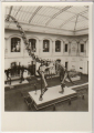 ALTE ANSICHTSKARTE - BERLIN - MUSEUM FÜR NATURKUNDE - RIESENSAURIER
