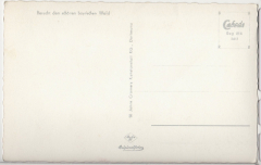 ALTE ANSICHTSKARTE/ POSTKARTE - RIESLOCH LUFTKURORT BODENMAIS - BAYRISCHER WALD MIT ARBER