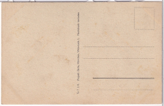 ALTE ANSICHTSKARTE/ POSTKARTE - BIRKENSTEIN - GRUß AUS BIRKENSTEIN UND UMGEBUNG