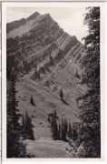 ALTE ANSICHTSKARTE/ POSTKARTE - OBERSTAUFEN - RINDALPHORN