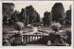 ALTE ANSICHTSKARTE/ POSTKARTE - INSEL MAINAU - ROSENGARTEN