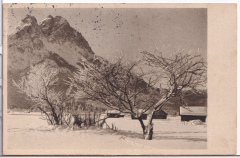 ALTE ANSICHTSKARTE/ POSTKARTE - GARMISCH-PARTENKIRCHEN - RAUFROSTBÄUME GEGEN WAXENSTEIN