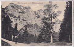 ALTE ANSICHTSKARTE/ POSTKARTE - NORDWAND VOM HERZOGSTAND