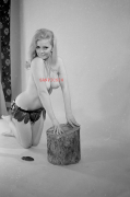 PHOTO - EROTIC - 5/5 - PRETTY NAKED WOMAN IN POSE #114