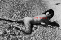 PHOTO - EROTIC - 16/17 - BEAUTIFUL NAKED BBW WOMAN IN NATURE #117