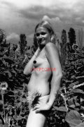 PHOTO - EROTIC - 1/5 - PRETTY NAKED YOUNG WOMAN IN NATURE #154