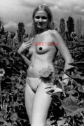 PHOTO - EROTIC - 2/5 - PRETTY NAKED YOUNG WOMAN IN NATURE #154