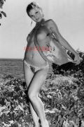 PHOTO - EROTIC - 1/2 - BEAUTIFUL NAKED HOUSEWIFE IN THE NATURE #164